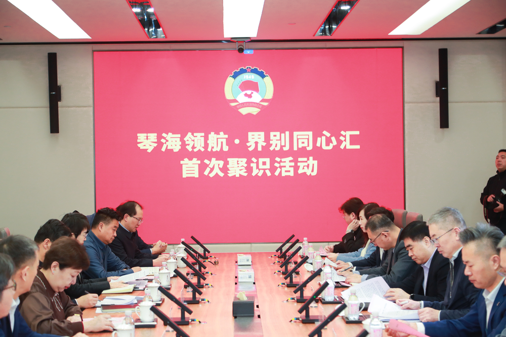 20241219012641041700.jpg 曹荣瑞副书记出席“琴海领航·界别同心汇”首次聚识活动