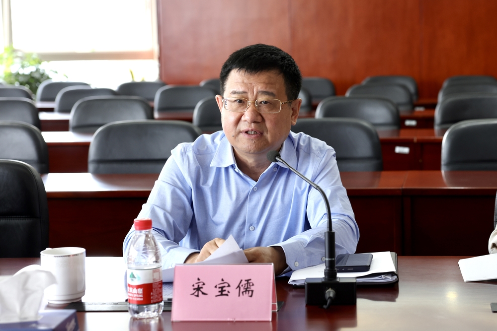 宋宝儒讲话