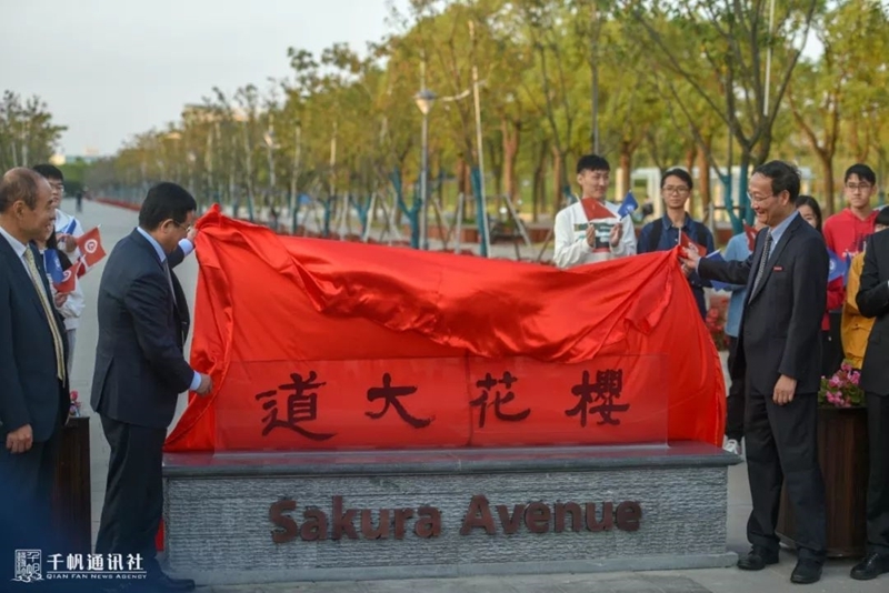 校友樱花大道揭牌 校友樱花大道揭牌