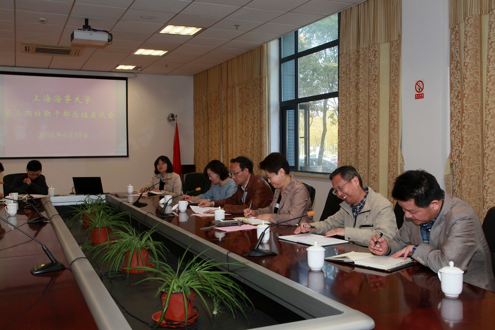 挂职干部总结座谈会