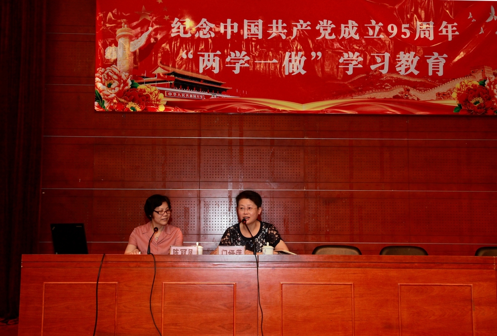 陈丽凤教授作报告