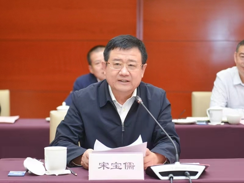 宋宝儒讲话