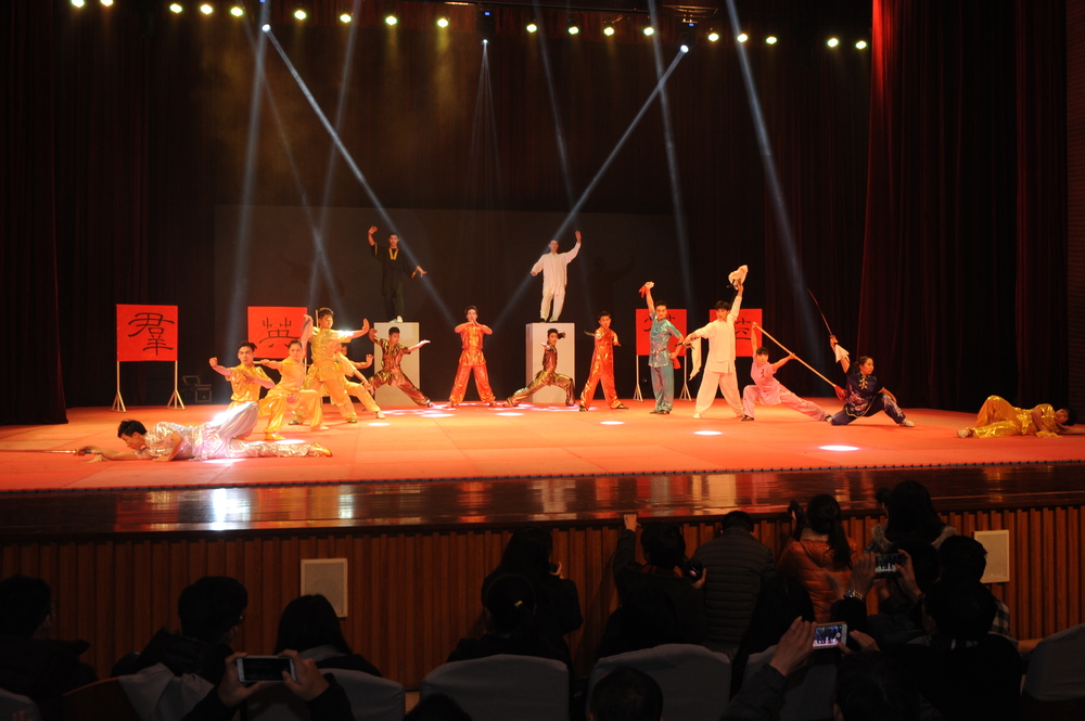 武术表演“群英荟萃”