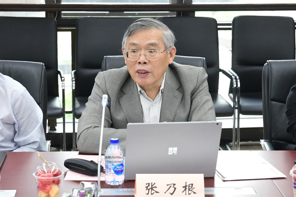 复旦大学特聘教授张乃根发言