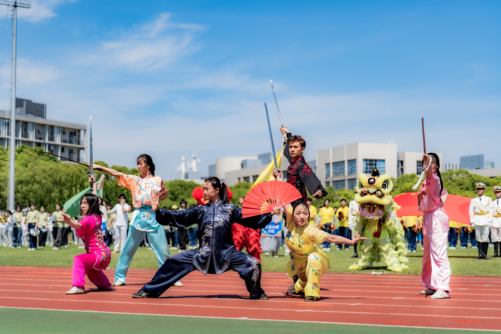 武术表演