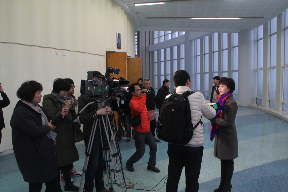 全国政协委员、上海沪剧院院长茅善玉接受媒体采访