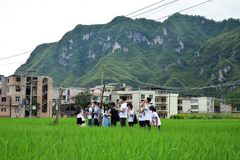 队员们行走在施秉县的田间 队员们行走在施秉县的田间