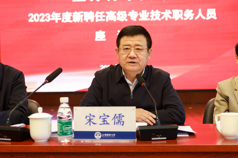 宋宝儒讲话