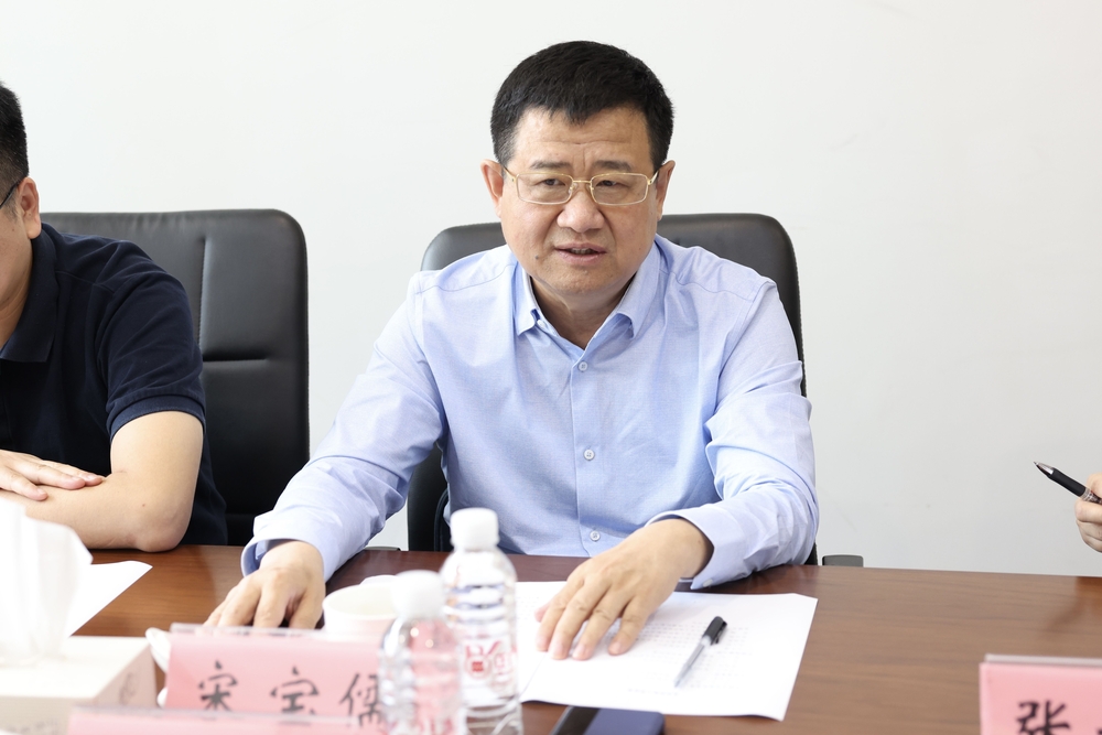 宋宝儒讲话