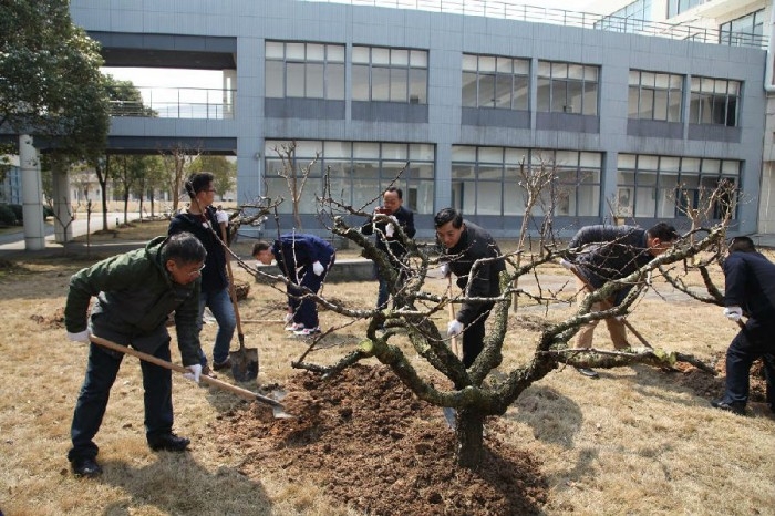 植栋梁之才,树文明新风 植栋梁之才,树文明新风
