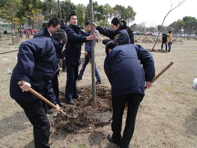 为校园添新绿 为校园添新绿
