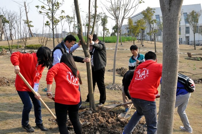 临港青年共同种下友谊之树 临港青年共同种下友谊之树