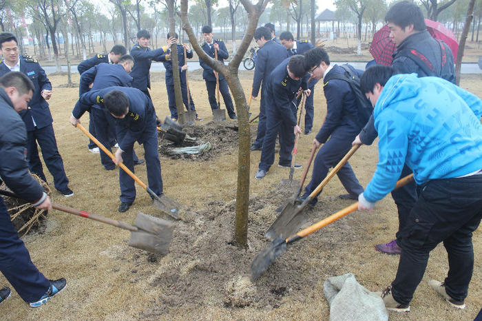 全校师生共同参与 全校师生共同参与