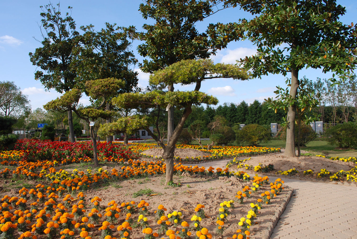上海海事大学花圃 上海海事大学花圃