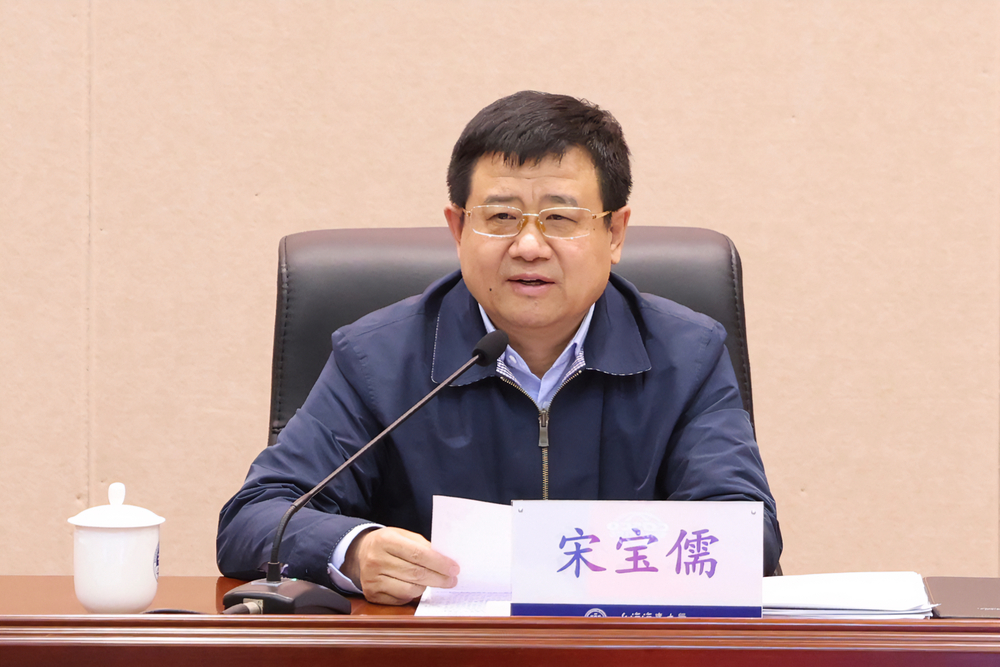 宋宝儒讲话