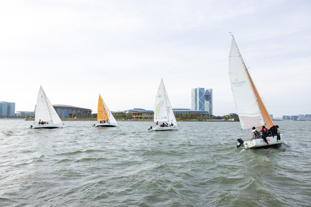 20241112133719578900.jpg 比赛现场