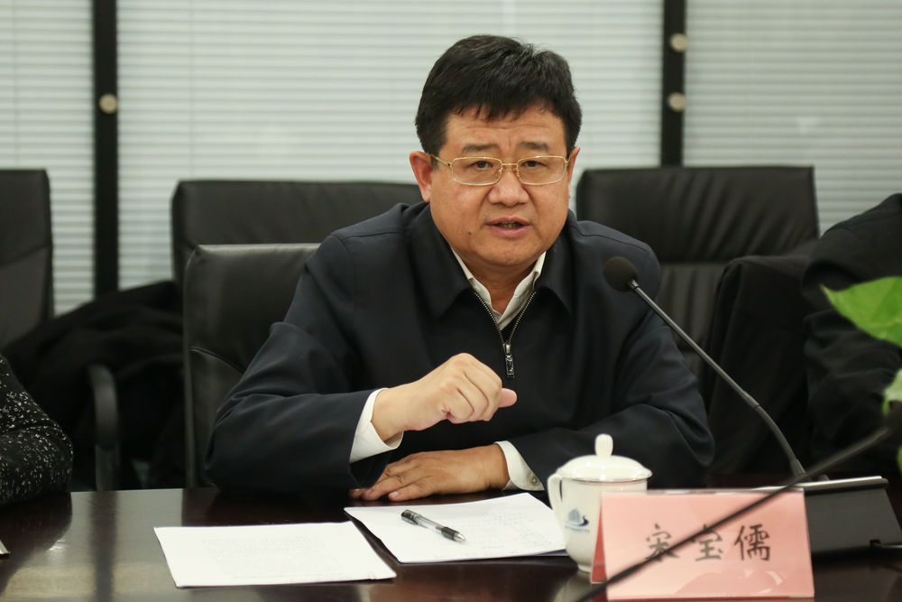 宋宝儒讲话