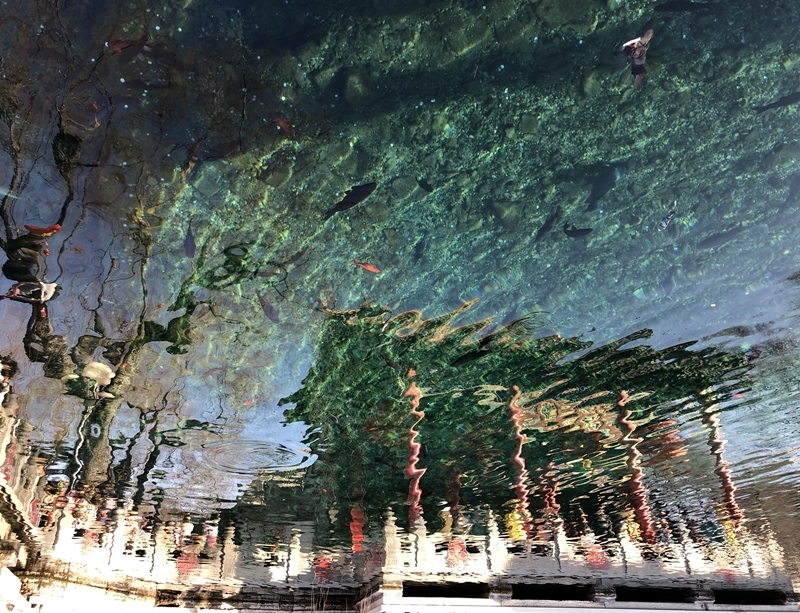 清泉幻境-许梅英