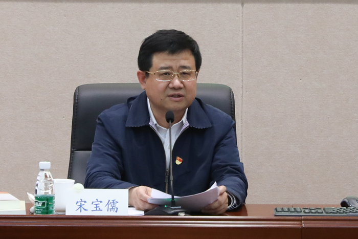 宋宝儒书记作动员讲话
