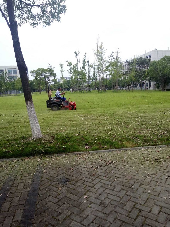 草坪修剪 草坪修剪