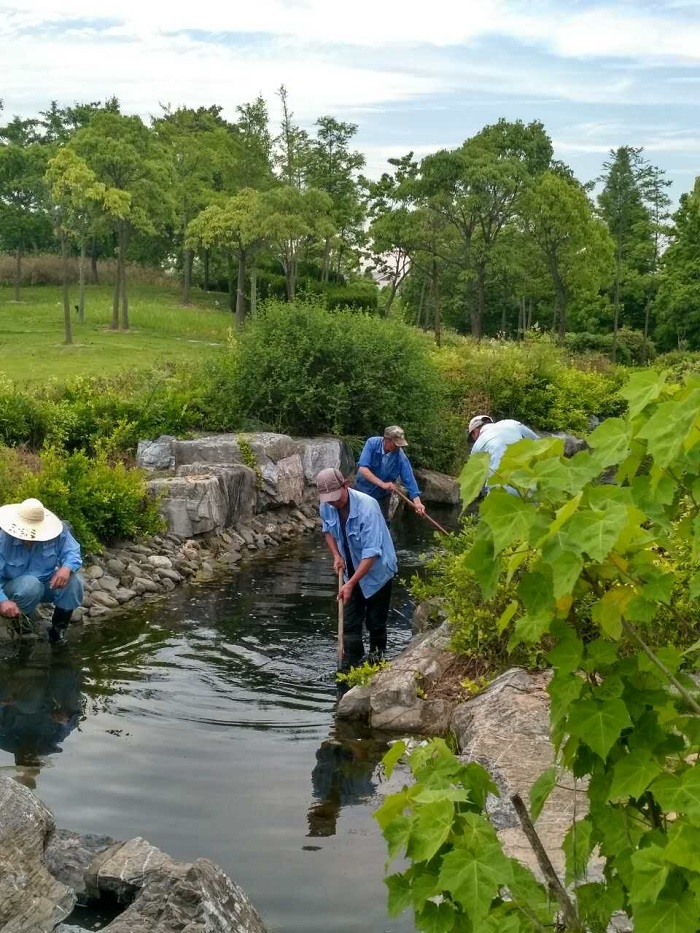海燕山水系清理 海燕山水系清理