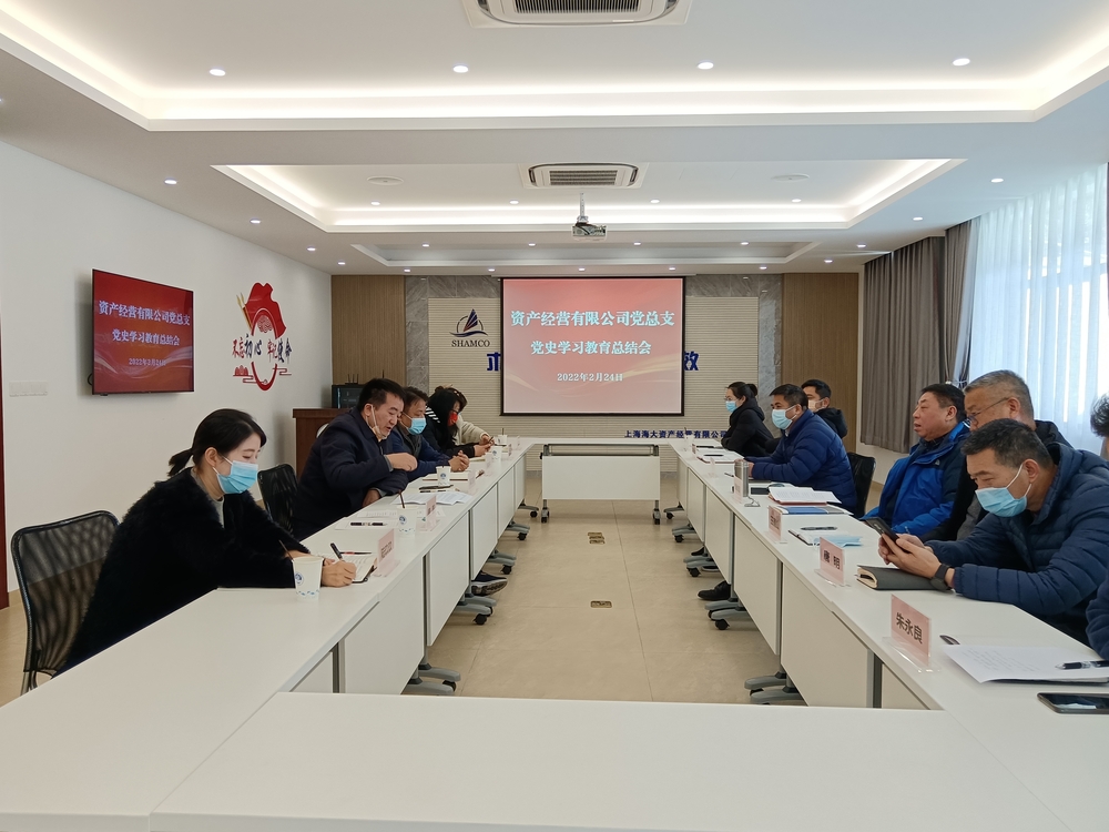 资产经营有限公司党总支召开党史学习教育总结会议