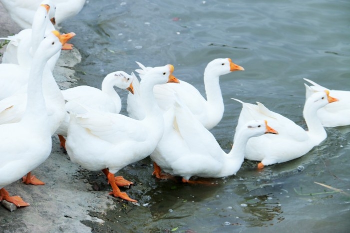 啦啦啦啦啦啦啦啦啦