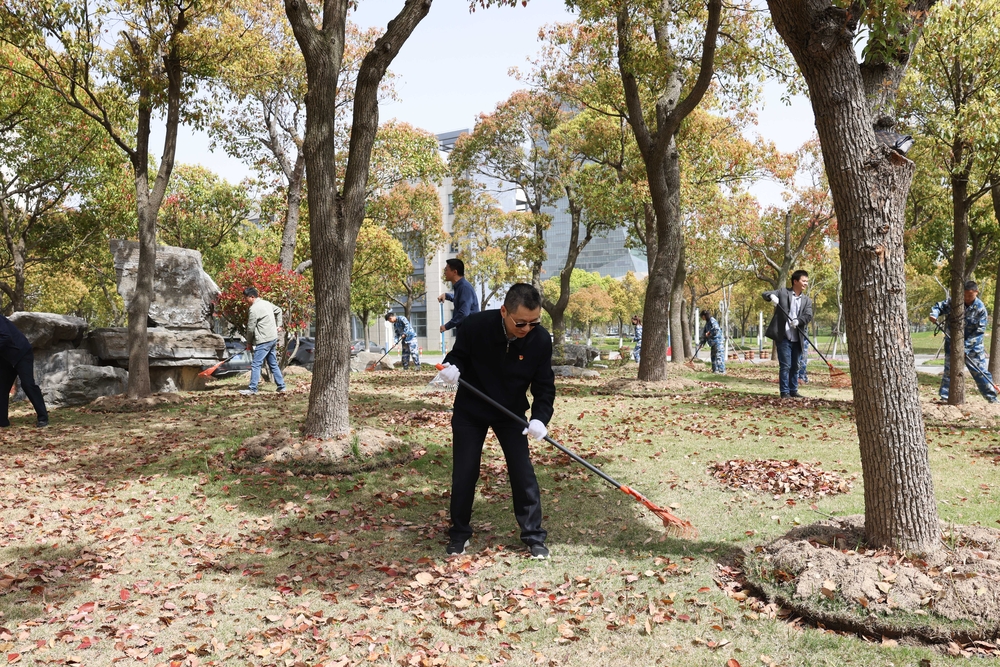 清扫绿地落叶