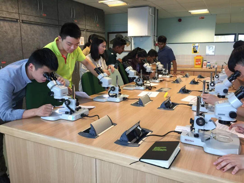 专题讲座课（英国普利茅斯大学暑期学习项目）