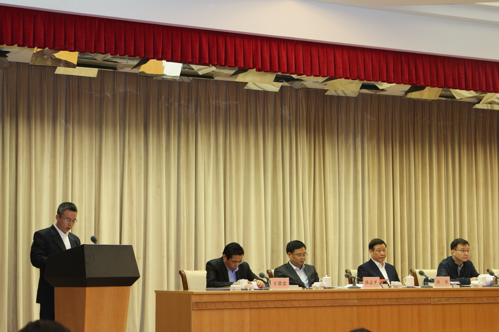 汪传旭教授发言